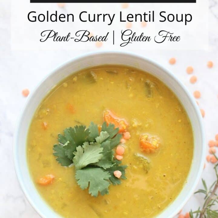 Slow Cooker Lentil Soup Recipe Golden Curry Flavor The Fit Habit